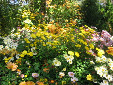 Mum jumble