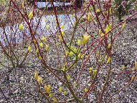 DSC00191.JPG