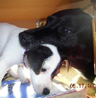 Wilma and Travis mgi.jpg