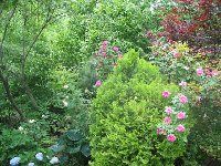 110_1090.jpg