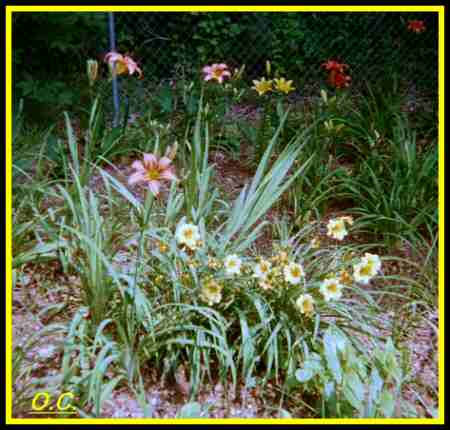 Stella bed-inst.jpg