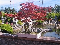 Seen at the Buddhist Temple in Richmond, B.C.