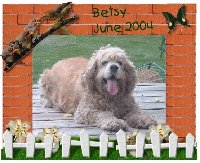 Betsy last summer