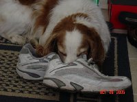 What is it with my shoes?? She is sound asleep....:-)