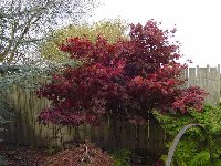 DSC00592.JPG