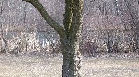3-30-06 109a.JPG