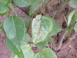 DSCF4667.jpg