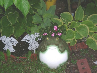 frog with double petunia enhanced.jpg