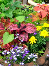 color galore.jpg