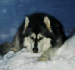 Kayla 2004 Loving the snow