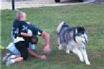 Kayla Brandon Paul wrestling...a daily event they loved.