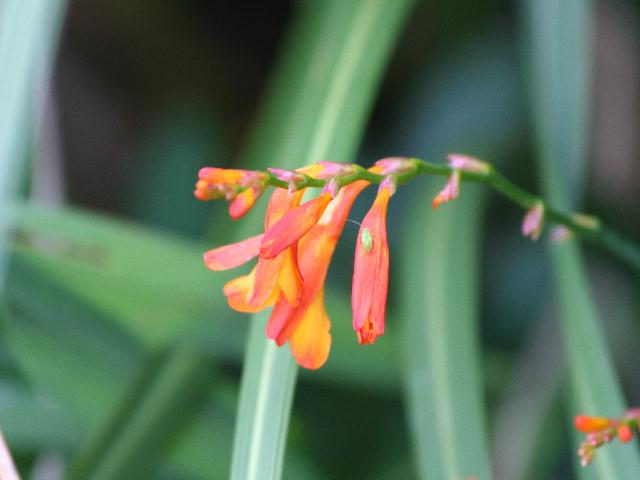 20070819_0150b.jpg