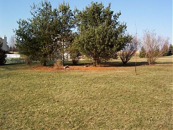 100_1744.jpg
