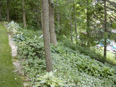6-28-07c 026.jpg