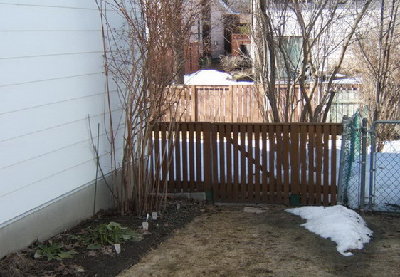 There IS hope, I guess. I walked right over this gate on snowshoes just 4 weeks ago.