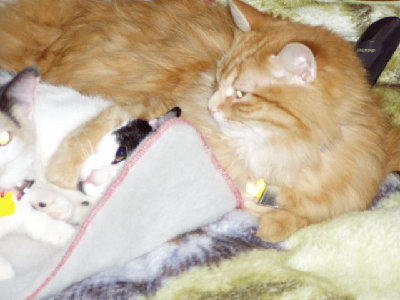 WILLIE SQUISHING FRIEND.jpg