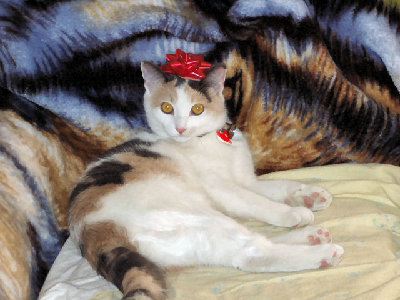 PC250019the qeen on christmas day2.jpg