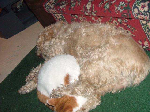 DSCF3091.jpg