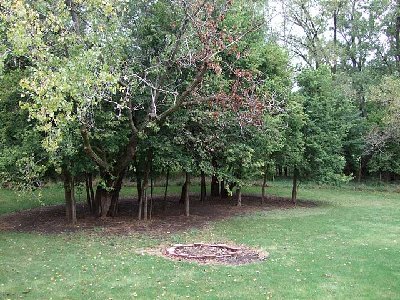 Area in early fall
