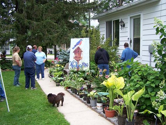 Hosta Swap plants.jpg