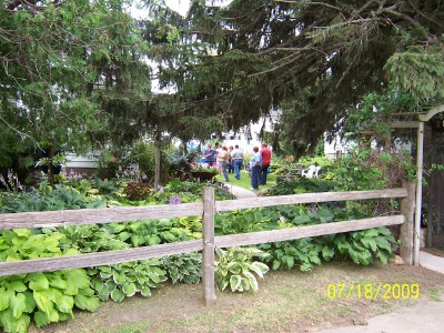 More hosta's and lots of hosta talking