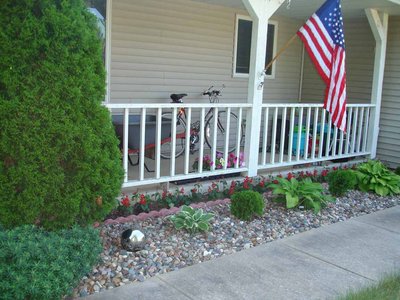The 'danica' globe arborvitea were no bigger than basketballs!     Hostas (l to r) Sagae, FlowerPower, Guacamole<br />I don't like the rock, but DH prefers a 'neater' look in front of the house.  Gardens are much more informal in the back.