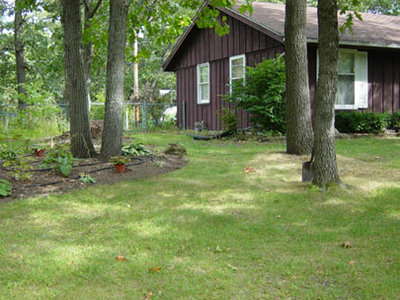 Hosta Bedscopy 001.jpg