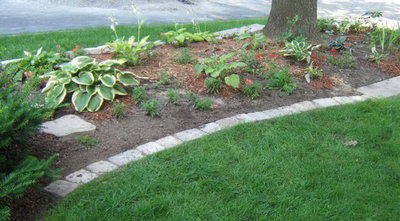 The garden in its first year.