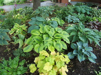 Same garden in 2010, albeit from a different angle.