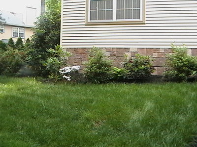 House W 08 0835.JPG
