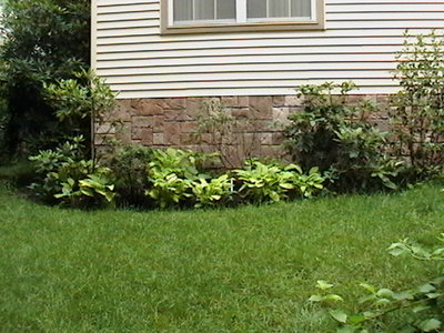 Scene house W 10 0491.JPG