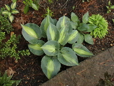 5/4/2010