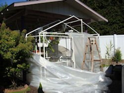 20101006_15b.jpg