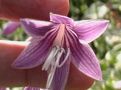 IMGA0623.JPG