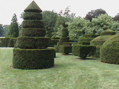 IMGA0521.JPG