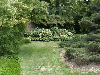 IMGA0644.JPG