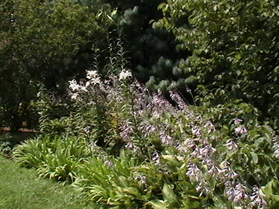 IMGA0122.JPG