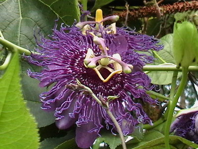 IMGA0112.JPG