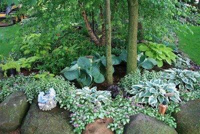 Rick%27s%20Gardens%20080.jpg