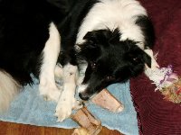 annabelle on her towel.jpg