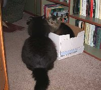 Tuck: That's my box.
<br />Gracie: Huh. You think so?