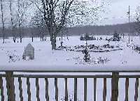 2-17-04 front, winter view 001a.JPG