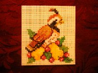 cross stitch sample