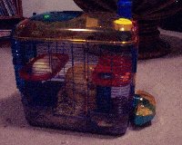 Hamster cage 091805.jpg