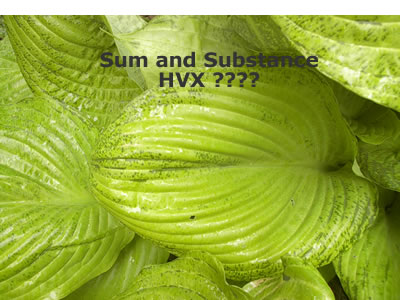 Sum and Substance HVX.jpg
