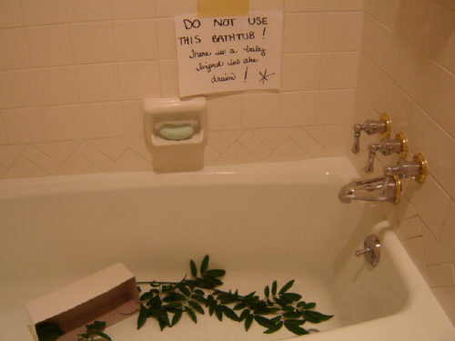 Decorating the bathtub with sticks and leaves!