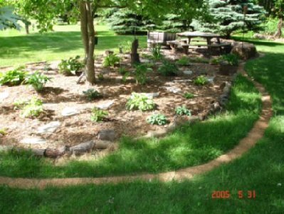 Maple tree bed, May 2005