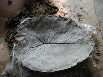 leaf casting 1.jpg
