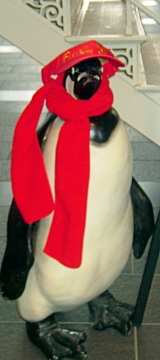 kimmies big penguin.jpg