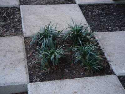 New patio pictures 010 (Small).jpg